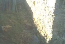 rockfield 1091.JPG